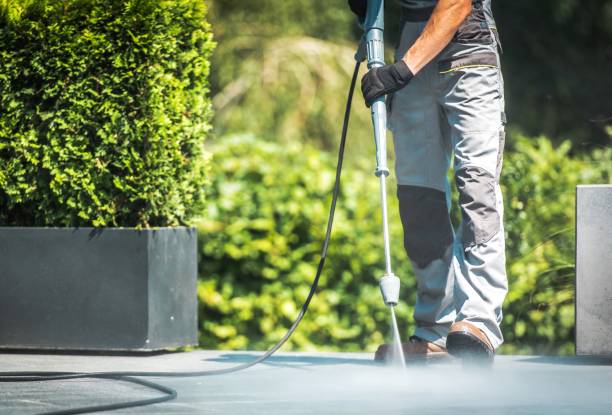 Best Animal Enclosure Cleaning  in Marion, KY